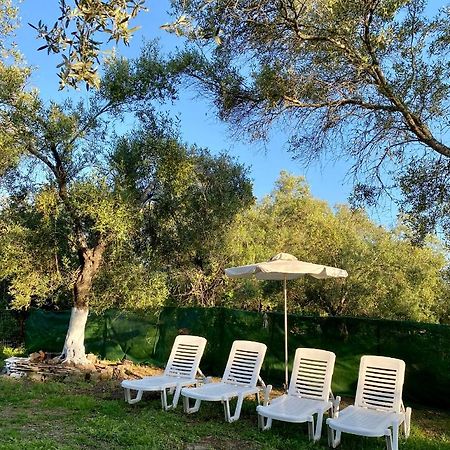 Endless Green: Feel Free And Cozy In Nature Perivólion المظهر الخارجي الصورة