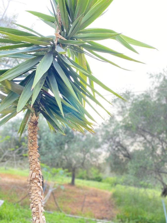 Endless Green: Feel Free And Cozy In Nature Perivólion المظهر الخارجي الصورة