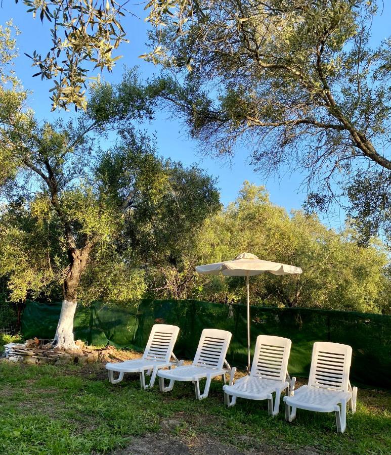Endless Green: Feel Free And Cozy In Nature Perivólion المظهر الخارجي الصورة